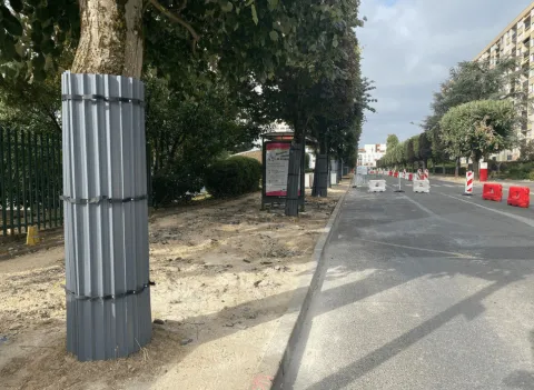 protection arbre souple